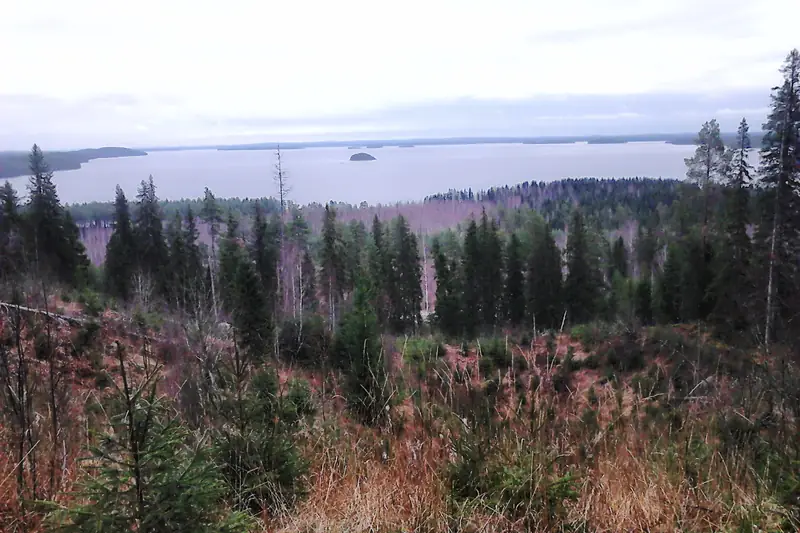 Näkymä korkealta metsäiseltä rinteeltä laajan järven yli marraskuussa.