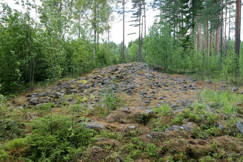 Matala, sammaloitunut kivikasa metsän reunassa.