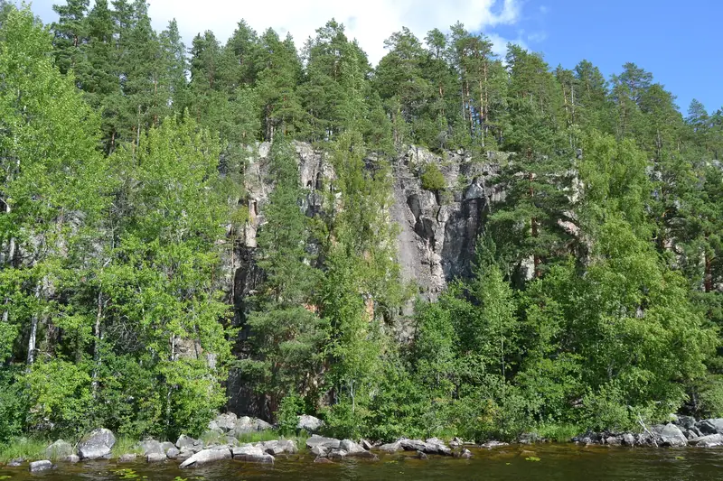 Järven rannasta nouseva korkea, pystysuora kallioseinä, jonka päällä kasvaa mäntymetsää.