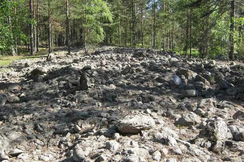 Mäntymetsän keskellä laaja, kasviton kenttä harmaita, pyöristyneitä nyrkin ja jalkapallon kokoisia kiviä.