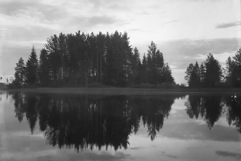 Vanha mustavalkoinen valokuva: pieni kuusia kasvava saari tyynessä joessa, puut heijastuvat veteen.
