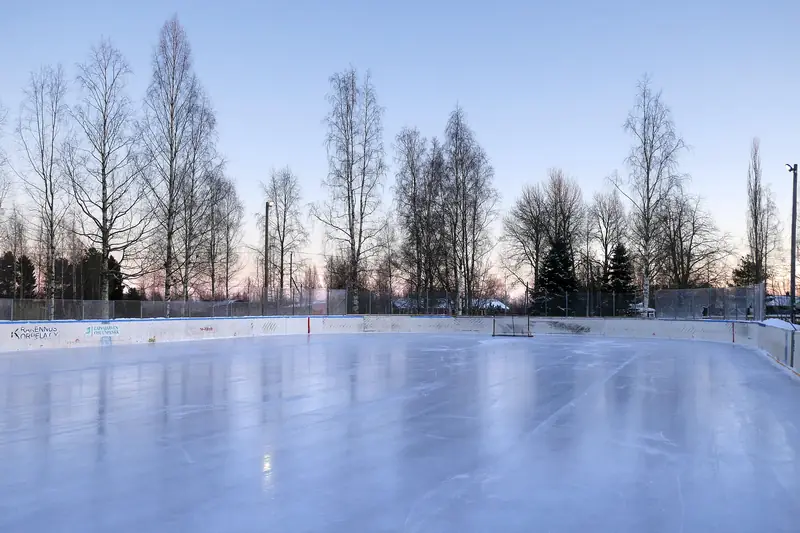 Ulkokaukalo hämärässä: jäädytetty kenttä laitojen sisällä, maali päädyssä ja koivuja taustalla.