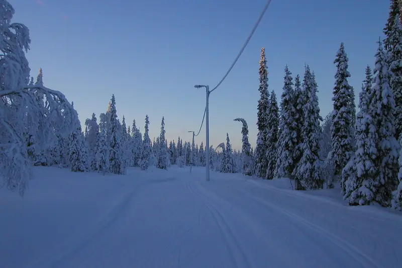 Valaistu latu talvimetsässä, jossa kuuset ovat paksun lumen peitossa; taivas sininen.