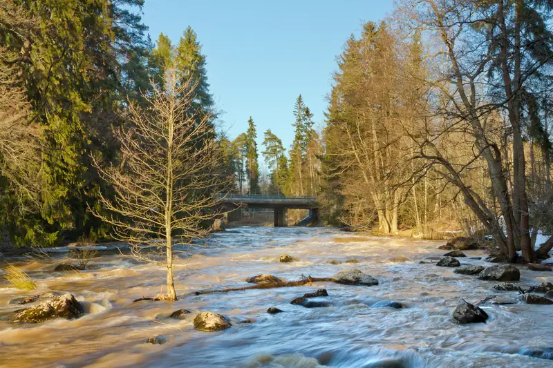 Matala, kivinen joki kuohuu puiden välissä; taustalla puusilta.