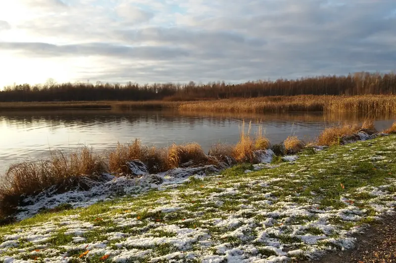 Järvenranta, jonka vihreällä nurmella on ohut, laikukas lumikerros.